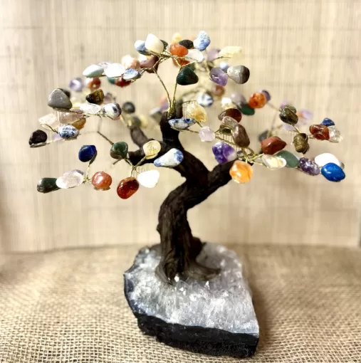 Nos arbres de vie, Sainte-Marie-la-Mer, Amethys'te